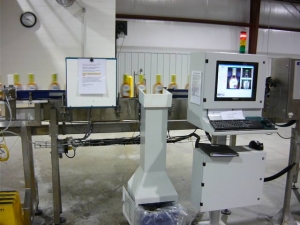 machine vision